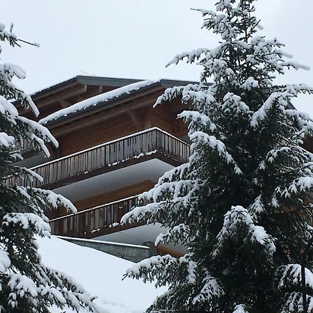 Les 4 Elements Aparthotel Châtel Exteriör bild